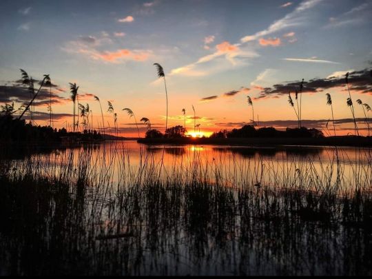 Bodensee (Konstanz)-4