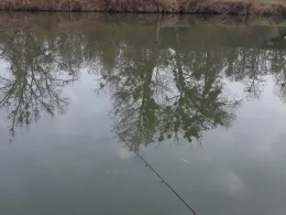 Saar (Saargemünd)-4