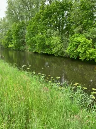 Nebelkanal (Bützow-Güstrow)-1