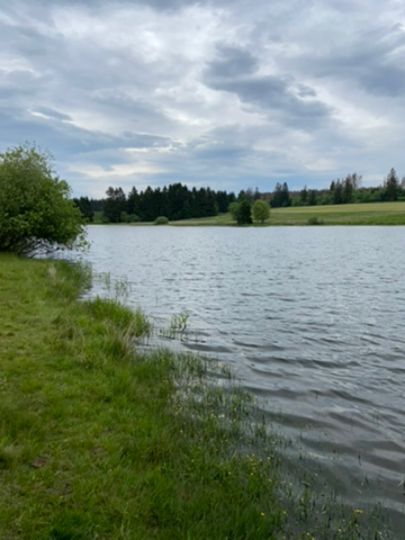 Sumpfteich (Clausthal-Zellerfeld) angeln