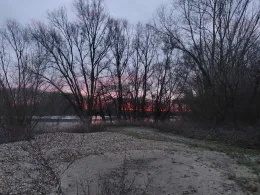 Neue Minthe (Germersheim)