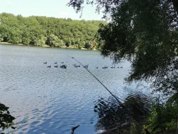 Neue Minthe (Germersheim)-2