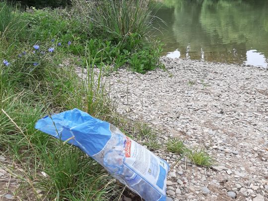 Neckar (Mosbach-Obrigheim)-2