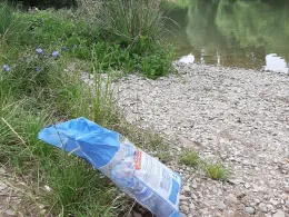 Neckar (Mosbach-Obrigheim)-2