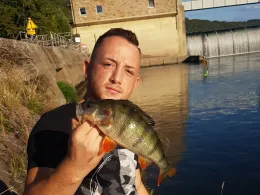 Neckar (Mosbach-Obrigheim)