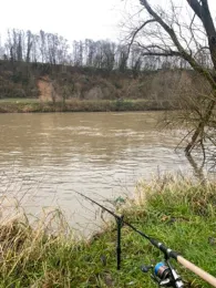 Neckar (Mosbach-Obrigheim)-4