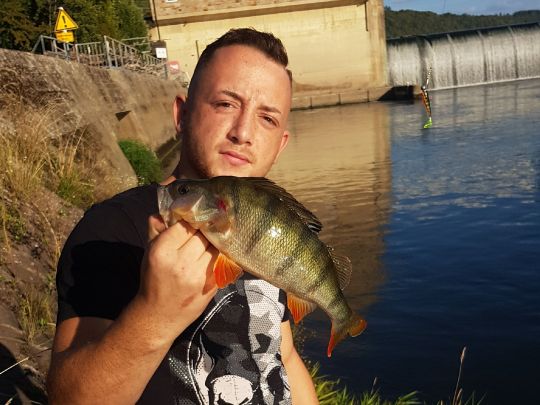 Neckar (Mosbach-Obrigheim)-3