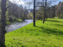 Weiße Elster (Pöhl)