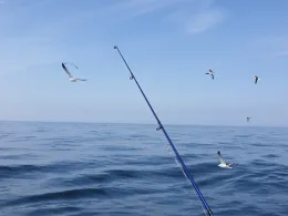 Nordsee (Den Helder)-1