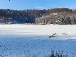 Albertsee (Marksuhl)-3