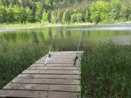 Albertsee (Marksuhl)-4