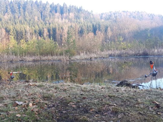 Albertsee (Marksuhl)-2