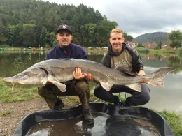 Étang de Philippsbourg