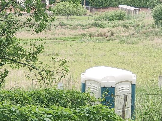 Étang de Philippsbourg-2