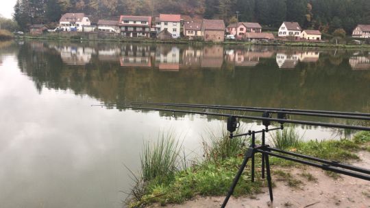 Étang de Philippsbourg-3