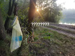 Kiesgrube Kalksandsteinwerk (Sprotta)-2