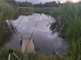 Teich im Sandepark (Callantsoog)-1