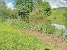 Große Aue (Liebenau)