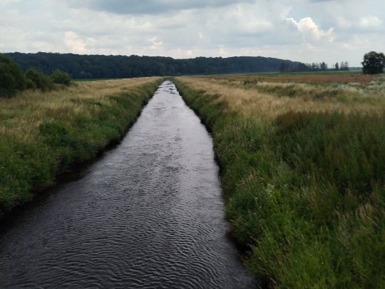 Große Aue (Liebenau)-1