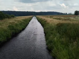 Große Aue (Liebenau)-1