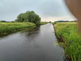 Große Aue (Liebenau)-2