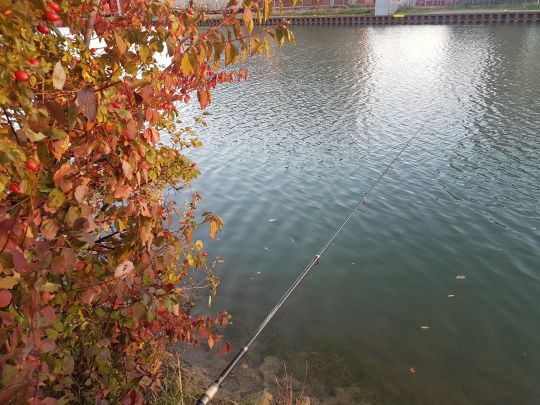Mittellandkanal (Garbsen) ALLE ANGELN
