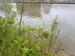 Mittellandkanal (Garbsen)-2