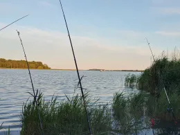 Peenestrom (Hohendorfer See)