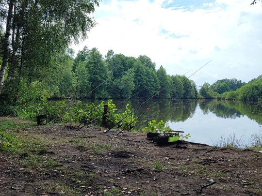 Torfstich Drachhausen-1