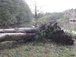 Torfstich Drachhausen-2