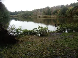 Torfstich Drachhausen-4