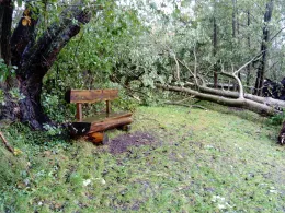 Torfstich Drachhausen-3