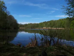 Torfstich Drachhausen