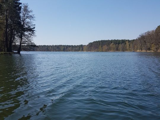 Kleiner Schwanensee (Jamlitz) angeln