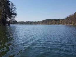 Kleiner Schwanensee (Jamlitz)-1