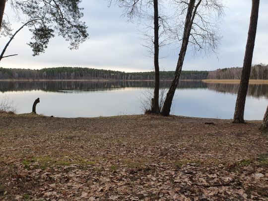 Kleiner Schwanensee (Jamlitz)-2