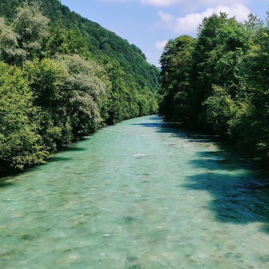 Berchtesgadener Ache (Marktschellenberg)