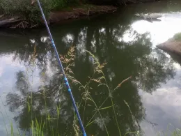 Kinzig (Wächtersbach)-4