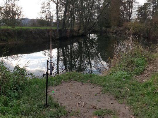 Kinzig (Wächtersbach)-3