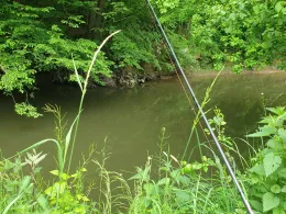 Kinzig (Wächtersbach)-2