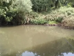 Kinzig (Wächtersbach)-1