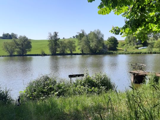 Zipfelteich (Görkwitz)