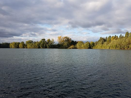 Hemminger Dorfteich angeln