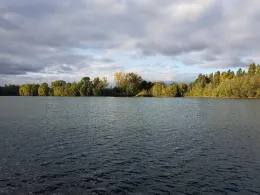 Hemminger Dorfteich-1