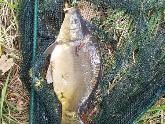 Lübbischwasser (Eilenburg)-0