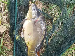 Lübbischwasser (Eilenburg)-0