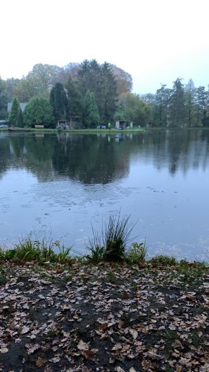 Angelteich Cvetkovic (Stannes)-1