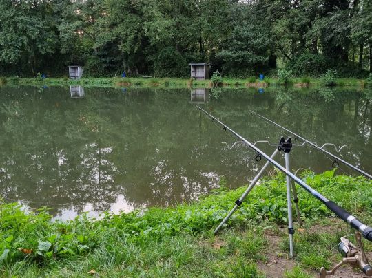 Angelteich Cvetkovic (Stannes)-2