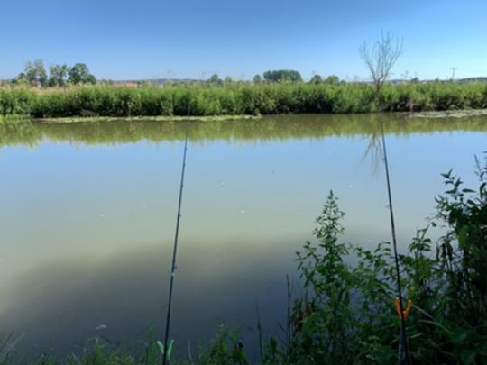 Aisch (Adelsdorf)-1