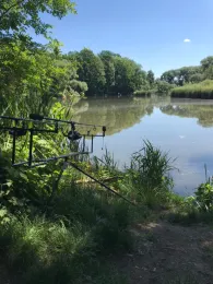 Krautteich (Wölkau)-1